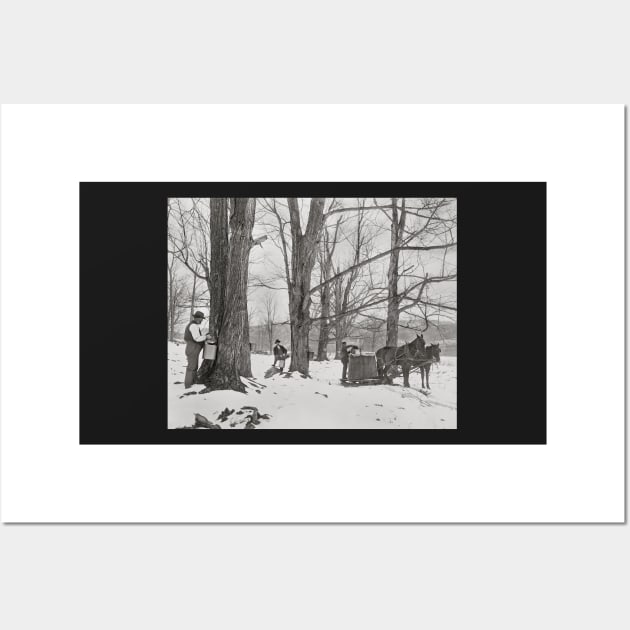 Vermont Maple Sugar Camp, 1906. Vintage Photo Wall Art by historyphoto